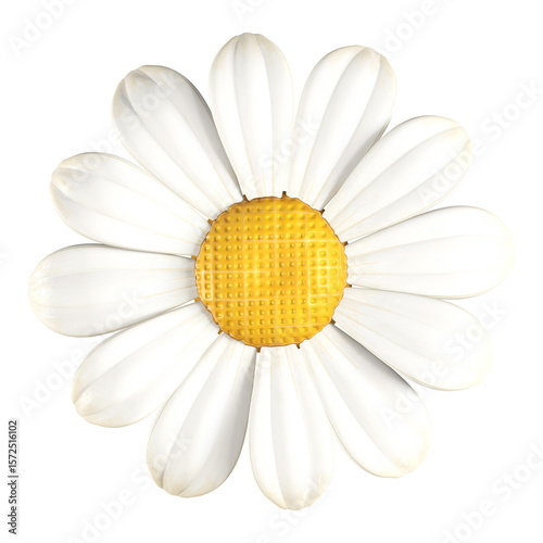 A vibrant 3D rendering showcases a stylized daisy with bright white petals radiating from a textured, sunny yellow center.