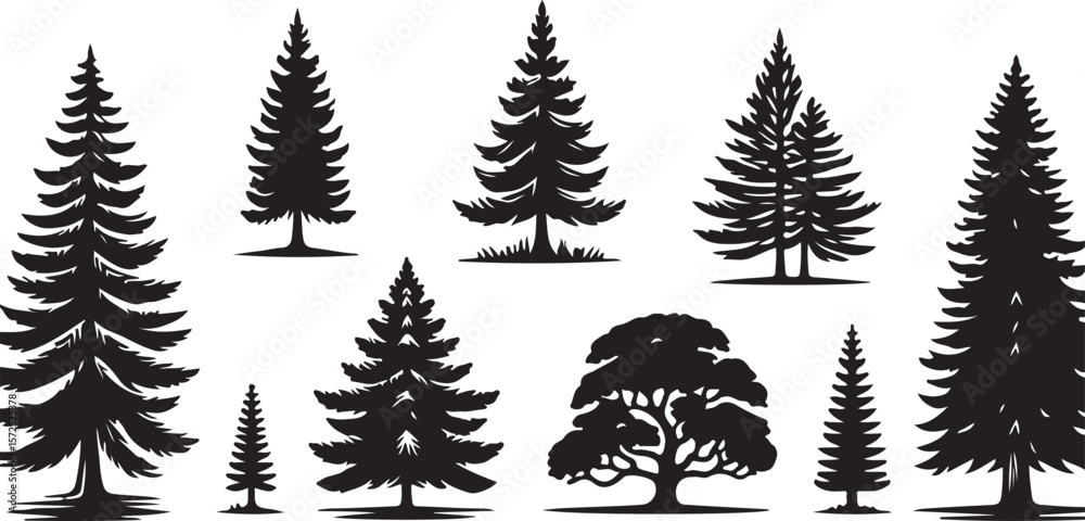 Fototapeta premium vector silhouettes of pine trees