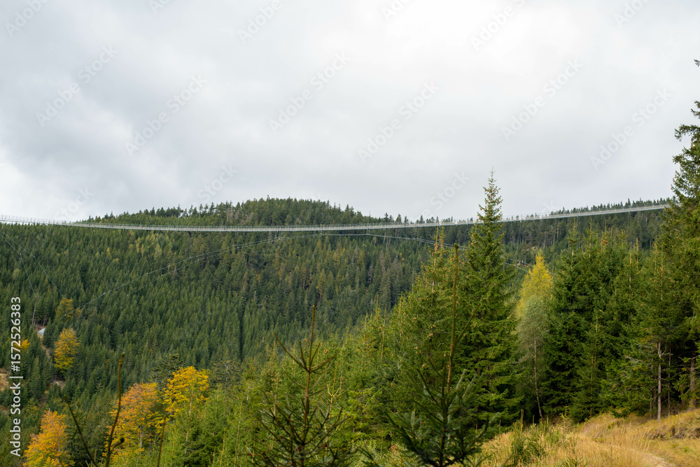 Obraz premium Sky Bridge 721 in Dolní Morava, Czechia, spanning forested valley