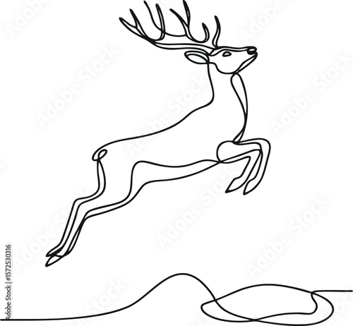 deer