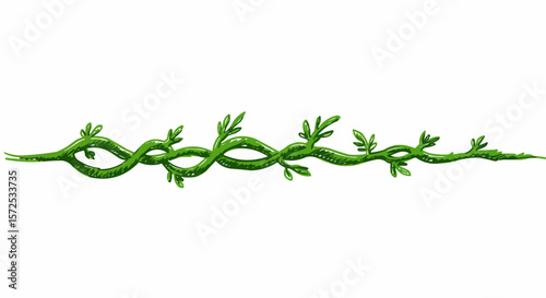 A green vine branch with small leaves extending horizontally on white.