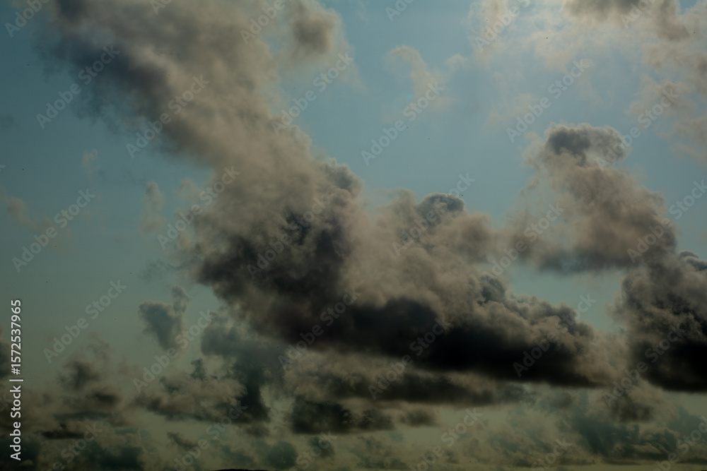 Fototapeta premium 奄美大島の夏。