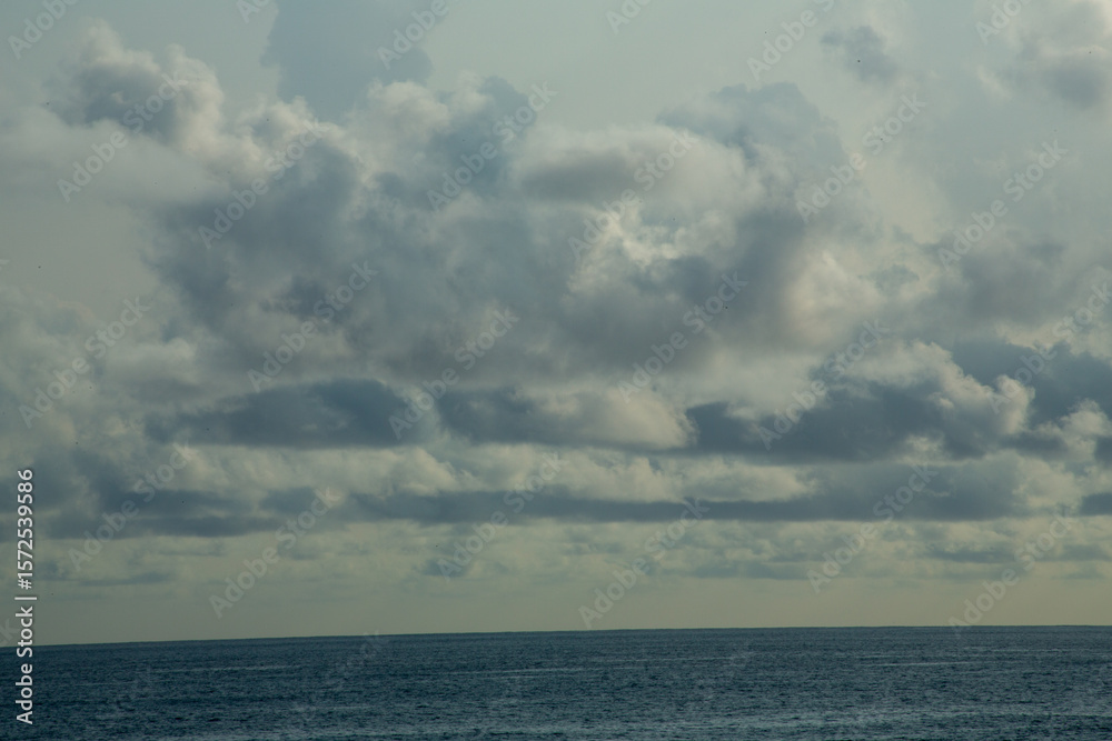 Obraz premium 奄美大島の夏。