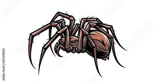 A detailed illustration of a large, brown spider, showcasing its eight legs and hairy body against a white background.