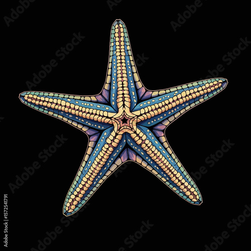 Detailed illustration of a vibrant starfish, showcasing intricate patterns and colors.