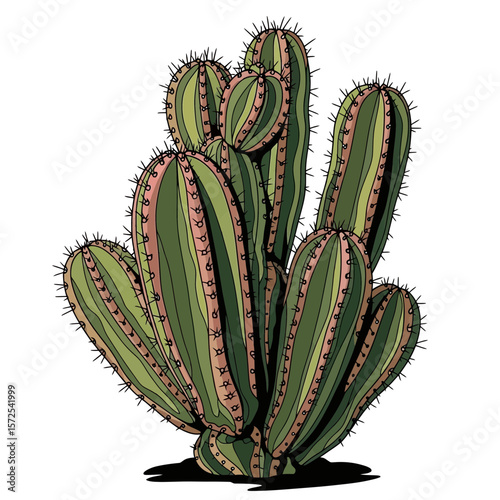 Illustration of a clustered cactus plant with vertical stripes and tiny spines, isolated on a white background.