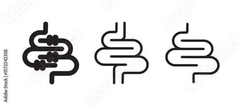 guts vector icons. Linear intestines or bowel. Human organ