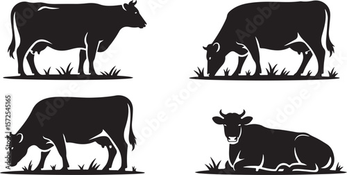 A striking silhouette of black and white cattle depicts a cow and calf, embodying the essence of farm animal life
