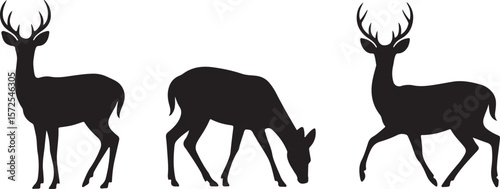 Black deer silhouettes on white background three animals in different poses with antlers grazing standing and walking