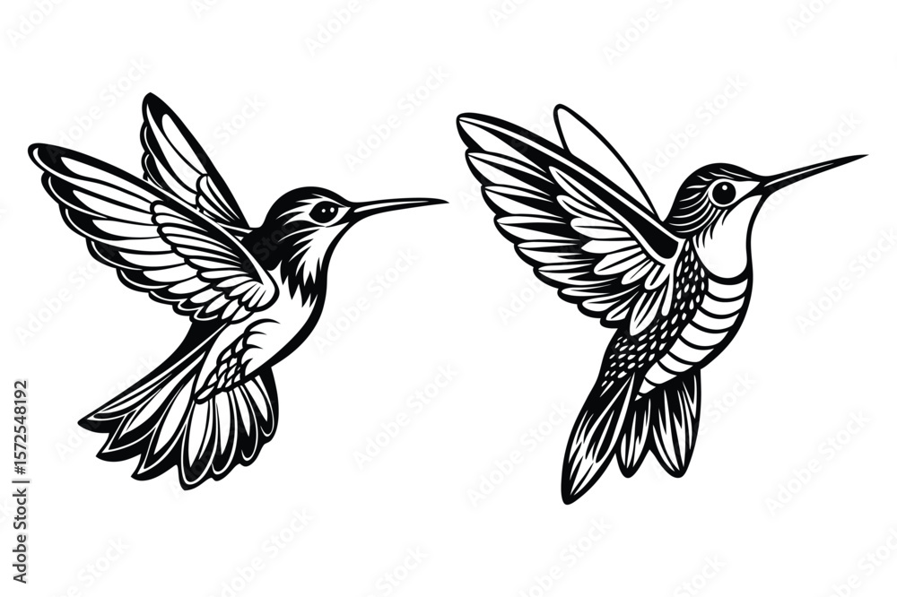 Obraz premium Two black and white hummingbirds in flight flying wings