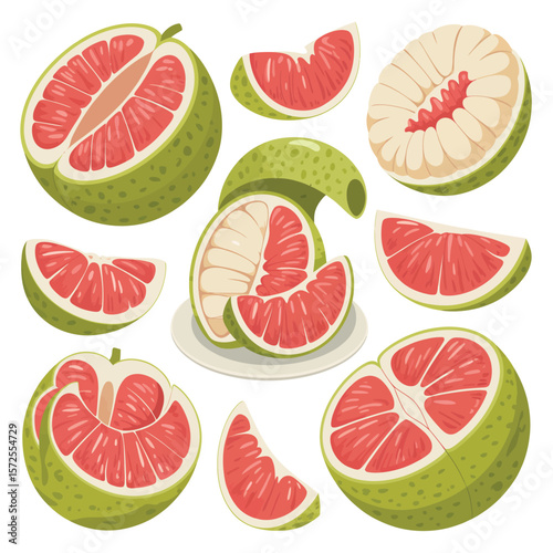 Collection of Fresh Grapefruit Slices and Sections