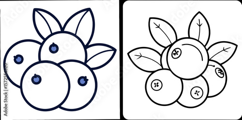 Various Blueberries Coloring Book Page Set – Outline Line Art Berry Fruit Collection for Kids and Adults
