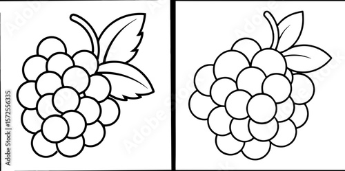 Various Grapes Coloring Book Page Set – Outline Line Art Fruit Collection for Kids and Adults