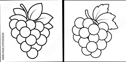 Various Grapes Coloring Book Page Set – Outline Line Art Fruit Collection for Kids and Adults
