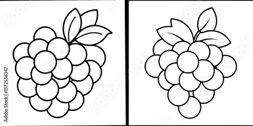Various Grapes Coloring Book Page Set – Outline Line Art Fruit Collection for Kids and Adults