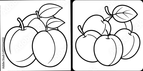 Various Plums Coloring Book Page – Outline Line Art Fruit Collection for Kids and Adults