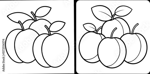Various Plums Coloring Book Page – Outline Line Art Fruit Collection for Kids and Adults