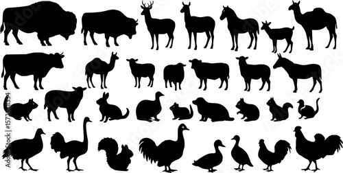 black animals silhouette vector on white background