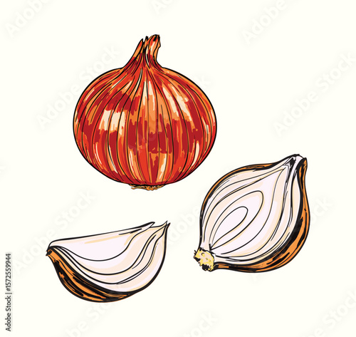 Whole and Sliced White Onions Set