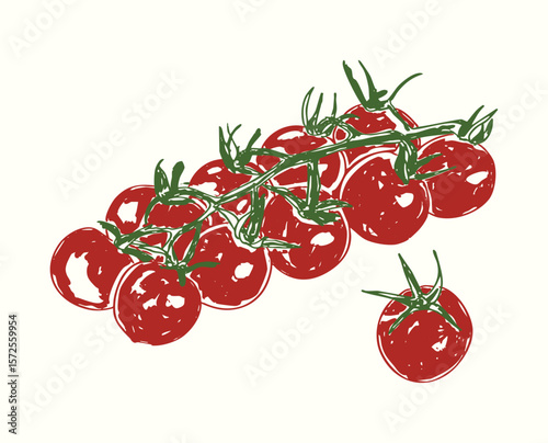 Vintage Cherry Tomatoes Doodle