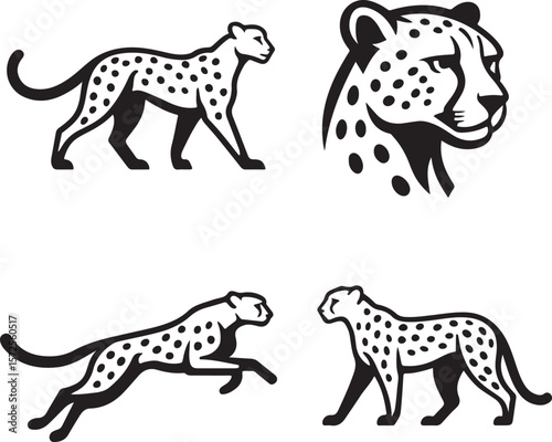 Spotted feline predators: cheetahs, leopards, and other fast wild cats in nature's safari