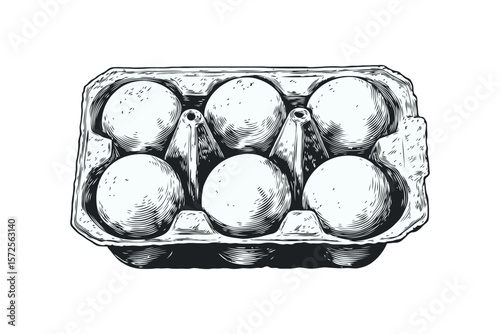 Illustration of six eggs in a carton, hand-drawn engraving style, on white backdrop, concept of food packaging and organic groceries