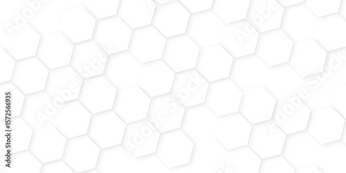 Abstract background with hexagon, modern abstract vector polygonal pattern. Futuristic honeycomb mosaic white background,white and gray hexagon honeycomb geometric copy space.