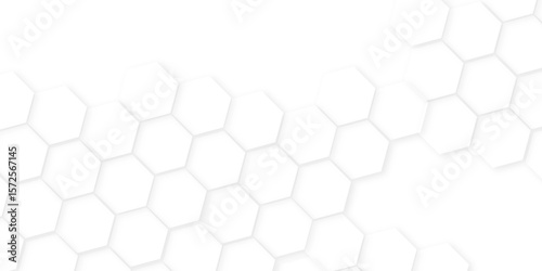 Abstract background with hexagon, modern abstract vector polygonal pattern. Futuristic honeycomb mosaic white background,white and gray hexagon honeycomb geometric copy space.
