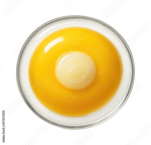 Bird egg cell with large yolk and distinct germinal disc on the surface