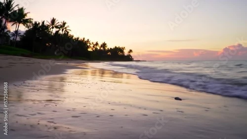 Tropical Beach Waves at Sunset