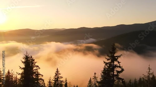 Morning Fog in the Mountains