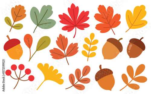 Collection of Autumn Leaves and Fruits – Flat Vector Illustration Featuring Colorful Seasonal Foliage and Harvest Elements for Fall Design, Nature Decor, and Thanksgiving Themes