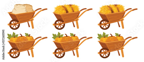  Six wheelbarrows filled with carrots and one with hay