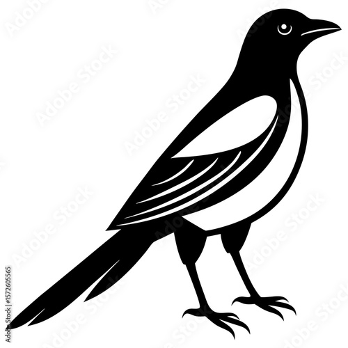 Stylized black and white silhouette of a magpie bird standing