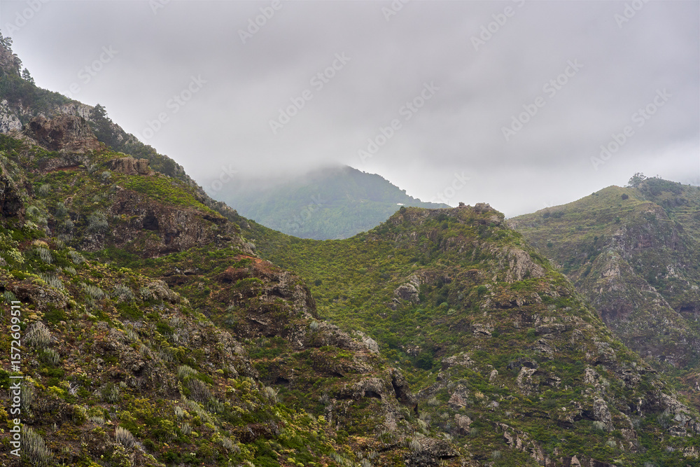 Fototapeta premium Mist over volcanic valley in Anaga