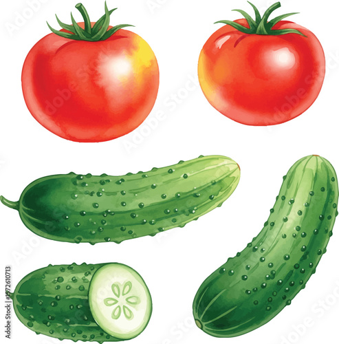 Fresh Tomatoes and Cucumbers: Healthy Vegetable Collection
