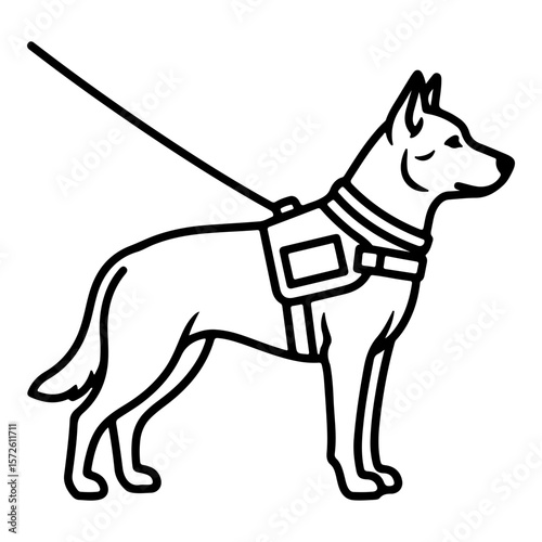 Guide dog on transparent background