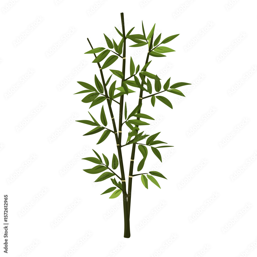 Fototapeta premium My Simple flat 2D illustration of a bamboo stalk isolated on a white background, vector 2D design, icon, flat 2d illustration art, Eps painting, Vector set