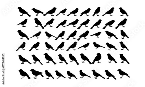 Silhouette pattern of many birds arranged in a grid on white background