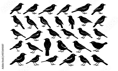 A collection of thirty two black bird silhouettes on white background