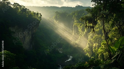 Sunbeams Illuminate Lush Tropical Rainforest Valley