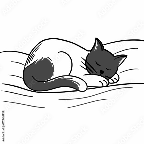 vector illustration of a cat