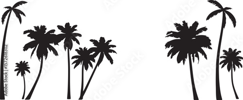 silhouette of palm tree