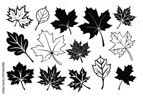 A versatile icon set featuring stylized maple leaves in various designs and color schemes suitable for autumn themed projects nature related graphics or Canadian themed