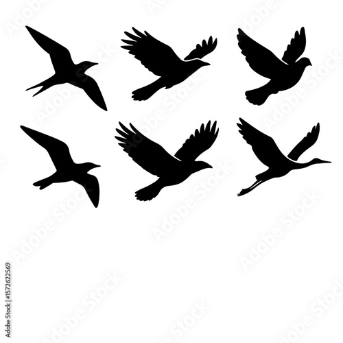Flying Bird Silhouettes