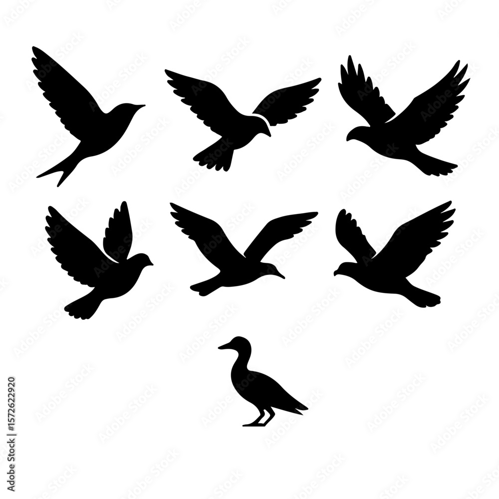 Fototapeta premium Flying Bird Silhouettes