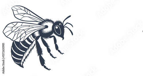 Dark Blue Monochrome Honey Bee Drawing Insect Vector Graphic