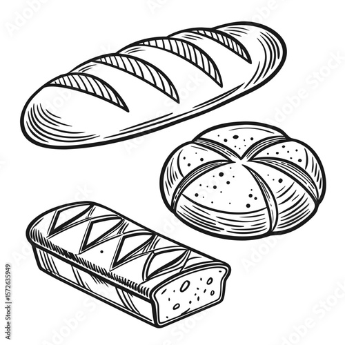 vector illustration of bread