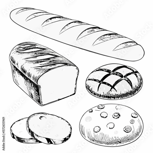 vector illustration of chocolate cake