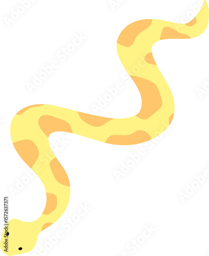 snake on white background